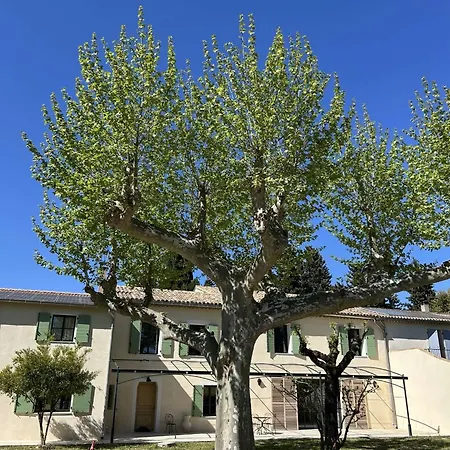 Bed & Breakfast D'hotes Vidal